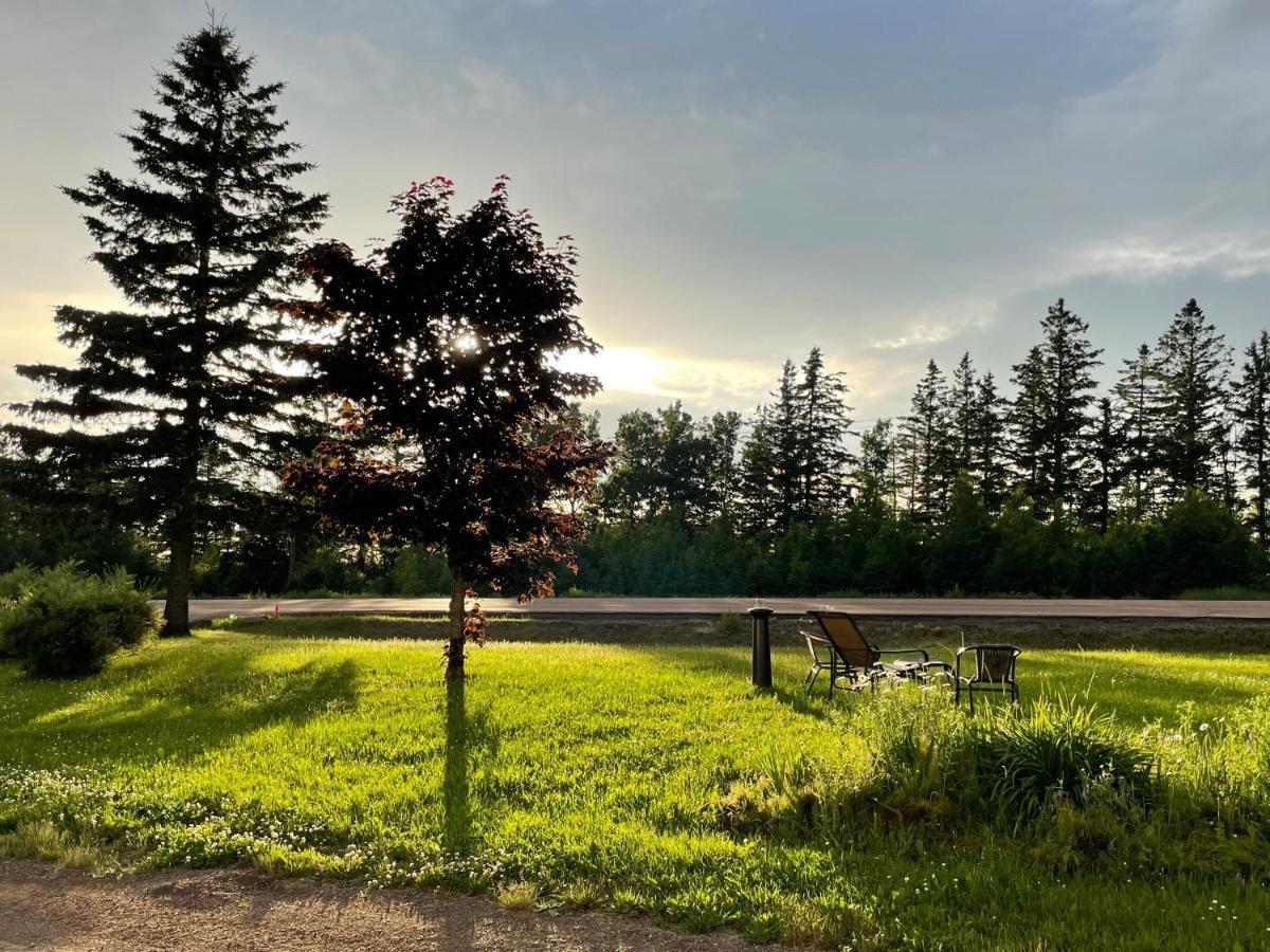 Scenic Motel Moncton Exterior photo